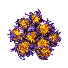 Whole dried Blue Lotus flowers with delicate blue-purple petals for herbal tea and botanical rituals