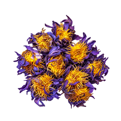 Whole dried Blue Lotus flowers with delicate blue-purple petals for herbal tea and botanical rituals