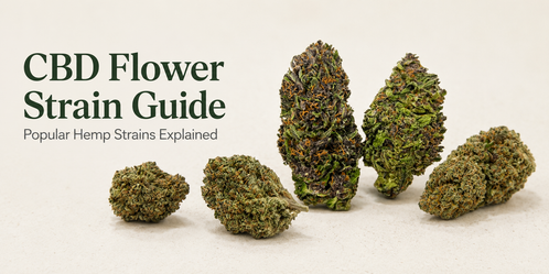 CBD Flower Strain Guide: Popular Hemp Strains Explained