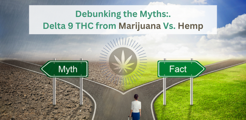 Debunking Myths: The Realities of Hemp and Marijuana Derived Delta 9 THC Gummies