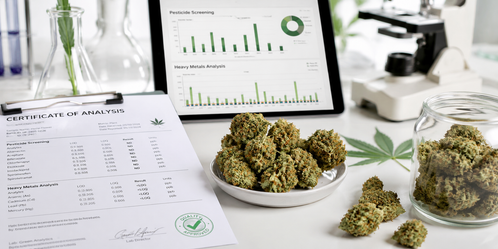 Hemp Testing for Pesticides and Heavy Metals: Why Product Safety Matters