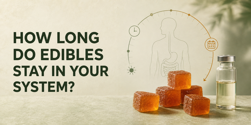 How Long Do Edibles Stay in Your System? Drug Test Guide
