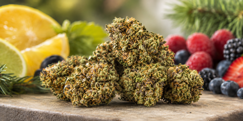 Sour Space Candy CBD Flower: Genetics, Terpenes, Flavor Profile, and How to Evaluate Quality