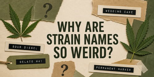 Why Cannabis Strain Names Are So Weird and What They Mean