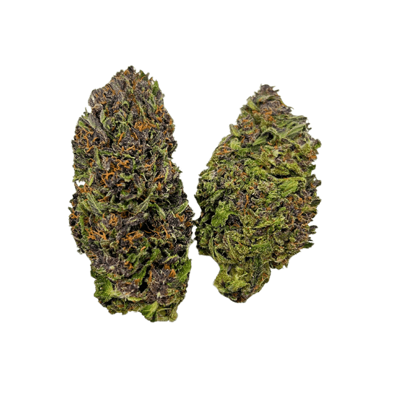 Green Nursery Purple Hindu Kush CBD 