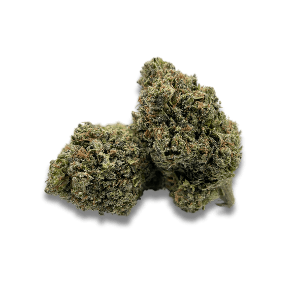 Green Nursery Blue Guava THCA 
