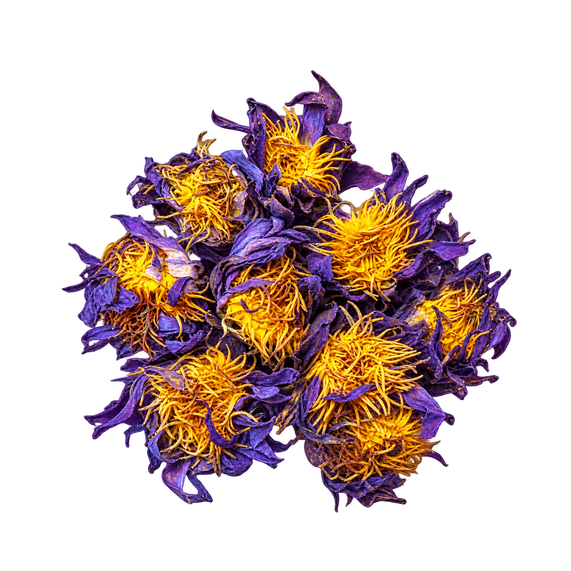 Whole dried Blue Lotus flowers with delicate blue-purple petals for herbal tea and botanical rituals