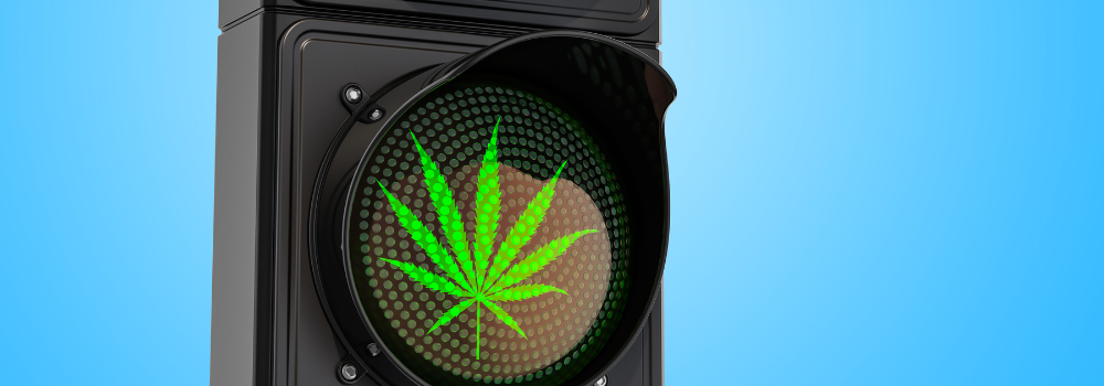 Cannabis delivery on the go illustration