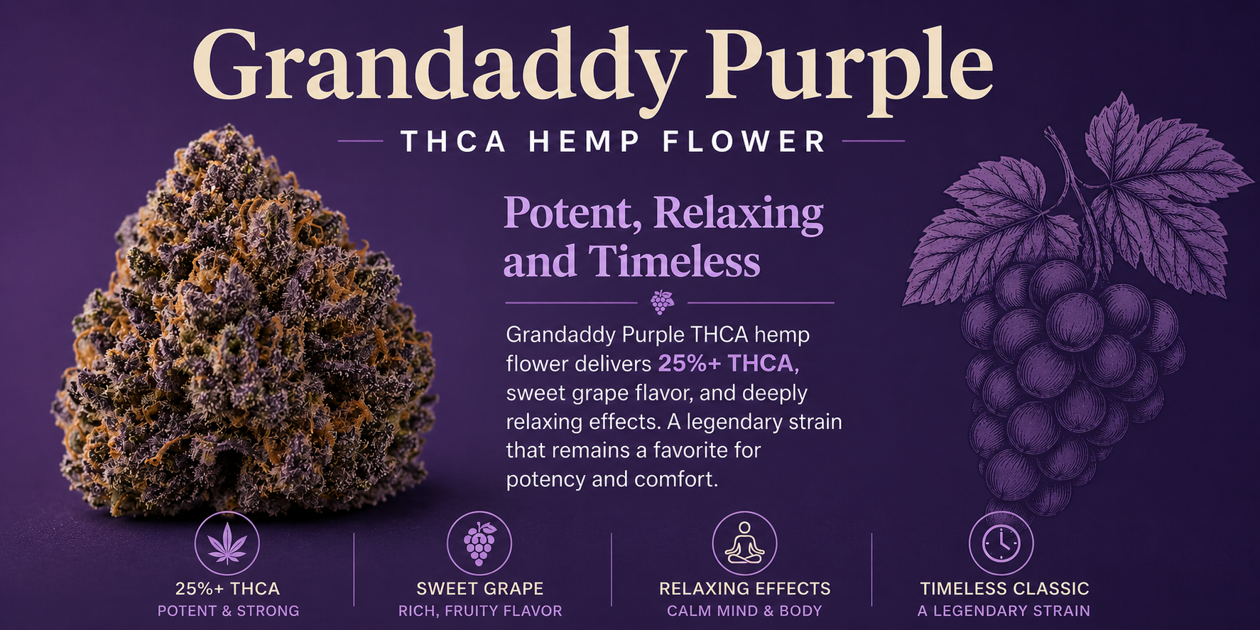Grandaddy Purple THCA Hemp Flower – A Classic Strain with Modern