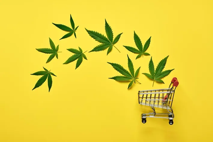 Green Nursery coupon code for hemp and CBD products