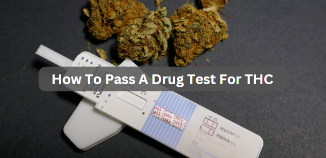 Marijuana & THC Home Drug Test