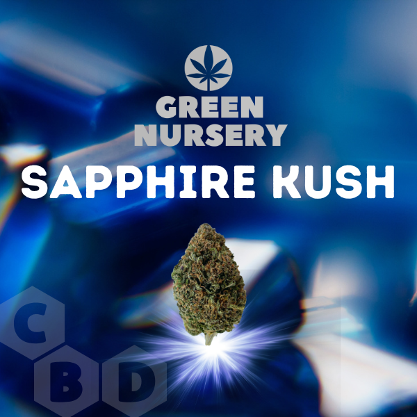 Shop CBD Hemp Flower