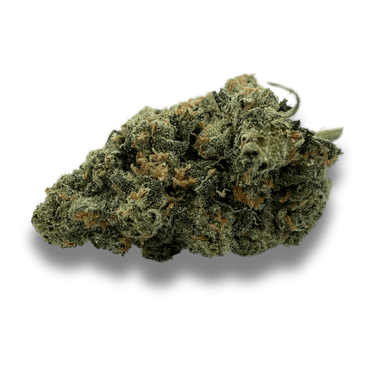 【Sativa】 Jack Herer 1ml CBD 12 Sensi Seeds Cannabis Seeds Jack Herer® Regular, 10 pcs