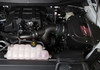 Roush Performance Cold Air Intake for 2018-2020 F-150 2.7L / F-150 & Raptor 3.5L Ecoboost V6 *50 State Legal* - 422089