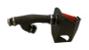 Corsa Apex 17-18 Ford F-150 3.5L EcoBoost DryTech 3D Metal Intake System