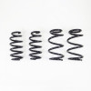 RS-R 2019-2024 Tesla Model 3 Down Sus Springs