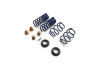 Ford Racing 2015-2025 Mustang Street Lowering Spring Kit