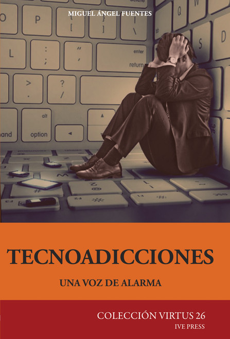 P. Miguel Ángel Fuentes, IVE; virtus series; adicciones; pornagrafía