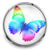 SnapAccents colorful rainbow butterfly snap charm with vibrant blue, pink, green, and purple wings, perfect for interchangeable snap jewelry accessories.