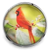 Round SnapAccents snap jewelry featuring a vibrant red cardinal bird perched on a branch with red berries, set against a soft green and yellow blurred background, encased in a silver metal frame.