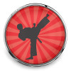 SnapAccents snap jewelry charm featuring a black silhouette of a martial artist performing a high kick on a red sunburst background, round metal snap button accessory for interchangeable bracelets and necklaces.
