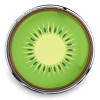 SnapAccents snap jewelry charm featuring a vibrant green kiwi fruit design with detailed seeds and silver metal frame, perfect for interchangeable snap bracelets and accessories.