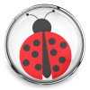SnapAccents round snap jewelry charm featuring a vibrant red and black ladybug design, perfect for interchangeable snap bracelets, necklaces, and accessories, high-quality glass dome with polished silver-tone metal base.