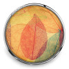 SnapAccents round snap jewelry charm featuring colorful translucent skeleton leaves in orange, red, yellow, and teal with intricate vein details, set in a polished silver-tone metal frame, perfect for interchangeable snap bracelets and accessories.