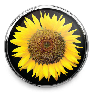 Custom Snap Jewelry Sunflower Snap - Black Ginger Charm Magnolia Vine Button by SnapAccents