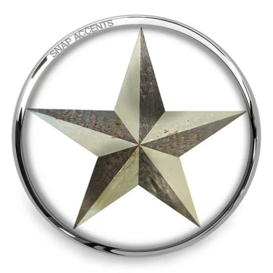 Custom Snap Jewelry Texas Star Snap - Vintage Ginger Charm Magnolia Vine Button by SnapAccents