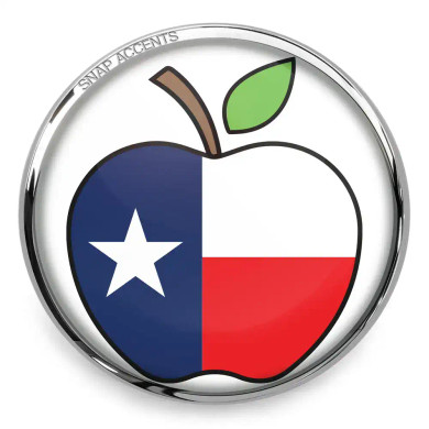 Custom Snap Jewelry Texas Flag Apple Snap Ginger Charm Magnolia Vine Button by SnapAccents