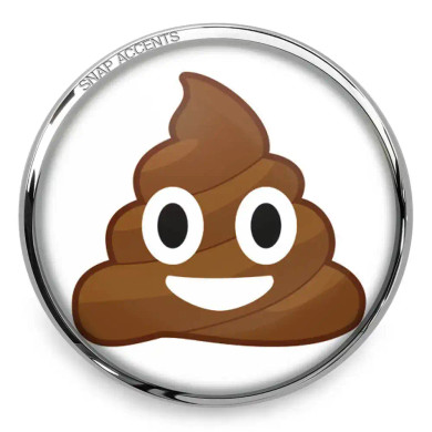 Custom Snap Jewelry Emoji Snap - Brown Poop Ginger Charm Magnolia Vine Button by SnapAccents