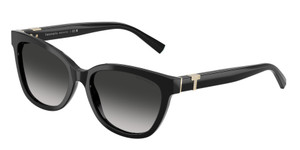 TIFFANY TF4237B 80013C Black Grey Gradient Women's 55 mm Sunglasses