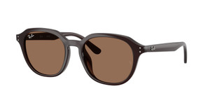 RAY BAN RB4459D 623173 Opal Brown Unisex 54 mm Sunglasses