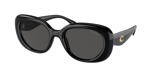COACH HC8391U 500287 Black Grey Women's 53 mm Sunglasses