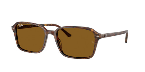 RAY BAN RB2231 141833 Raimond Brown Unisex 58 mm Sunglasses