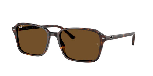 RAY BAN RB2231 902 57 Brown Polarized Unisex 58 mm Sunglasses