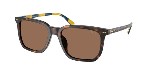 POLO RALPH LAUREN PH4224U 500373 Dark Havana Brown Men's 55 mm Sunglasses