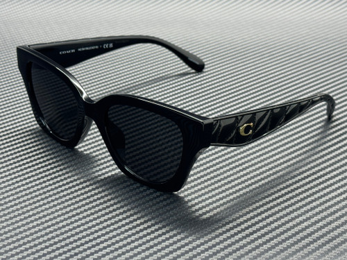 COACH HC8418U 500287 Black Grey Women's 53 mm Sunglasses