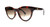 GUCCI GG0763S 002 Cat Eye Havana Brown Gradient Women's Sunglasses 53 mm