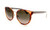 GUCCI GG0850SK 004 Round Oval Havana Brown Women's Sunglasses 56 mm