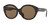BURBERRY BE4304D 300273 Havana Round Women's Sunglasses 55 mm