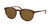 RALPH LAUREN POLO PH4110 501773 Shiny Jerry Havana Round Men's 50 mm Sunglasses