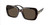 COACH HC8329U 512073 Dark Tortoise Square Rectangle Women's 53 mm Sunglasses