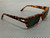 PERSOL PO3347S 24 31 Havana Brown Green Unisex 55 mm Sunglasses