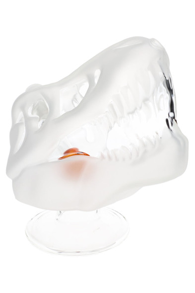 Jurassic Spark skull bong angled view showing frosted teeth and clear accents, head-shop supplies glass showcase
