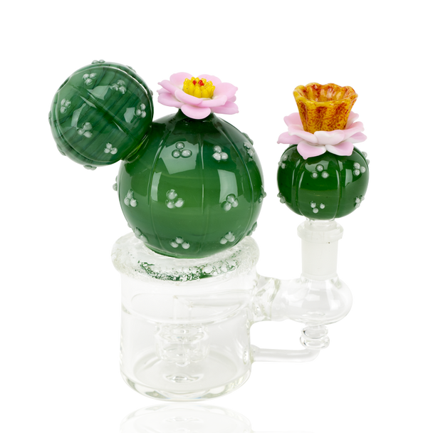 White-background product image for wholesale catalogs—6" cactus-themed mini rig with amber mouthpiece cup and pink blossoms, side three-quarter view.