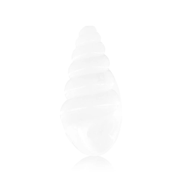 White seashell glass hand pipe shown from the back with spiral shell ridges on a clean background