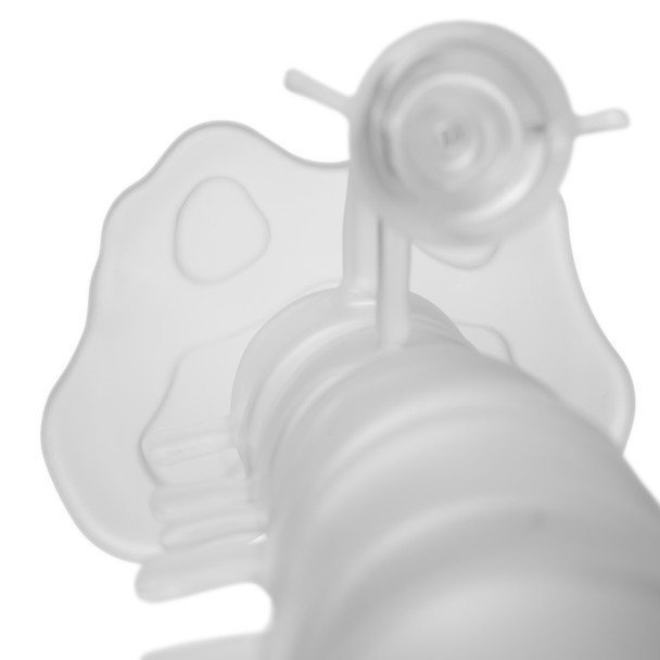 Top-down close-up of the Skele-Tube Spine Bong base, lower body, glass supports, and matching bowl