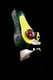 Avocado green glass Peak attachment on device, black background, three-quarter angle—textured peel and glossy pit for head-shop displays.